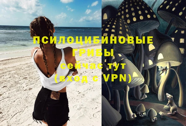 ECSTASY Зерноград