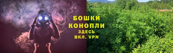 сатива Зеленодольск